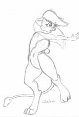 jerboa001.jpg
