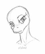 lizard04.jpg