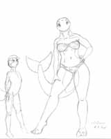 orca_gal_002.jpg